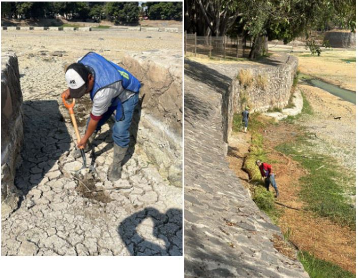 Imagen del proyecto