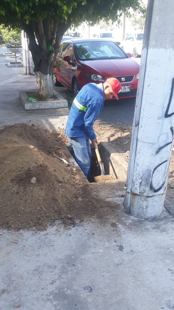 Imagen del proyecto