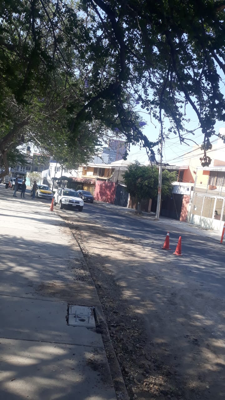 Imagen del proyecto