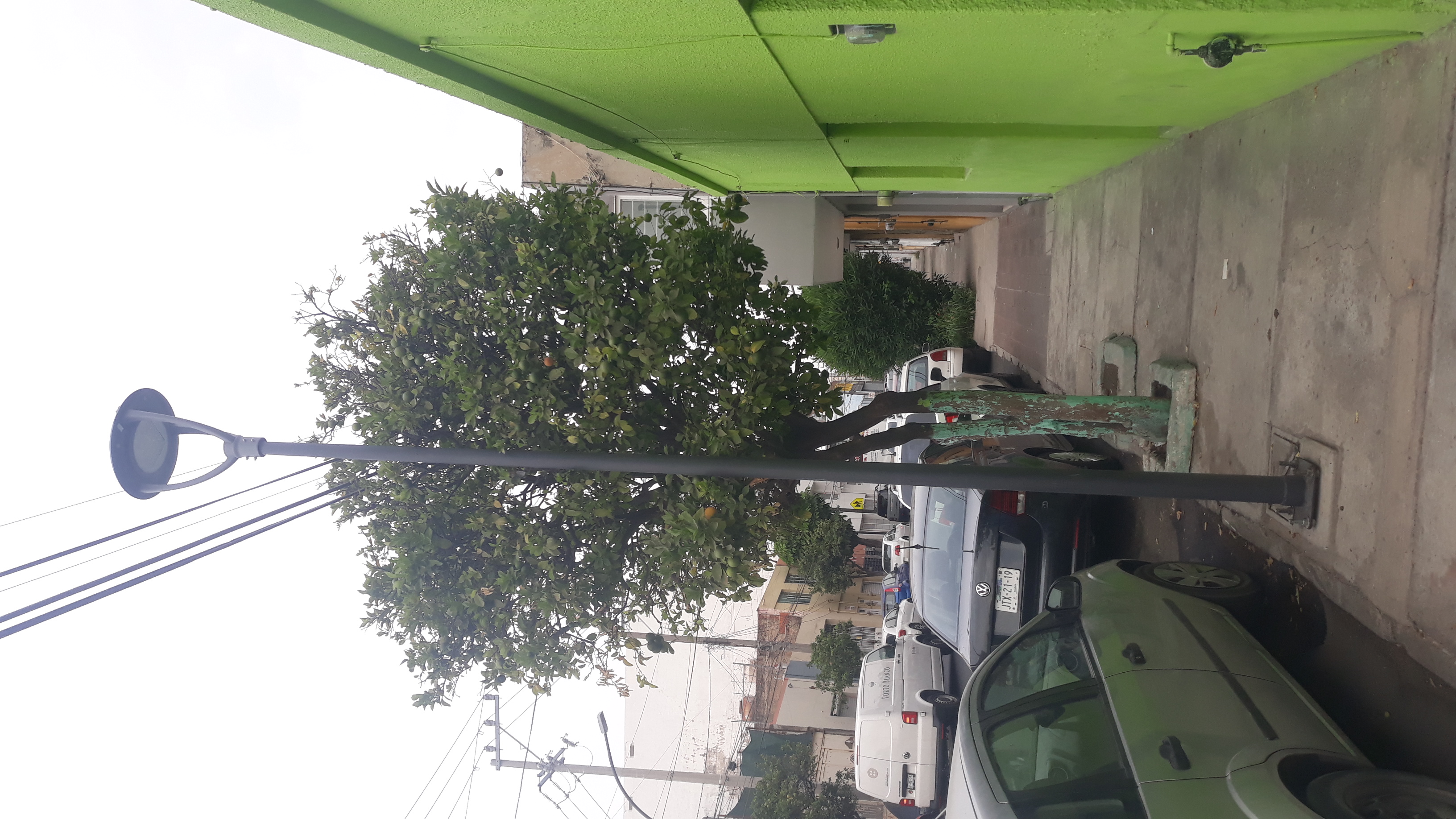 Imagen del proyecto