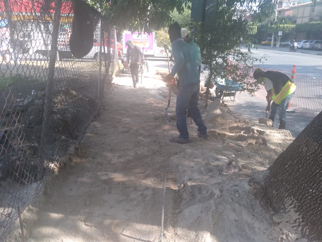 Imagen del proyecto