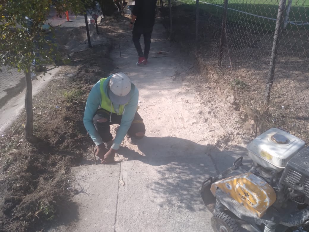 Imagen del proyecto