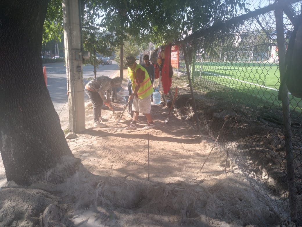 Imagen del proyecto