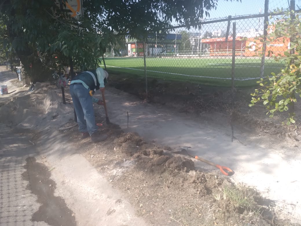 Imagen del proyecto
