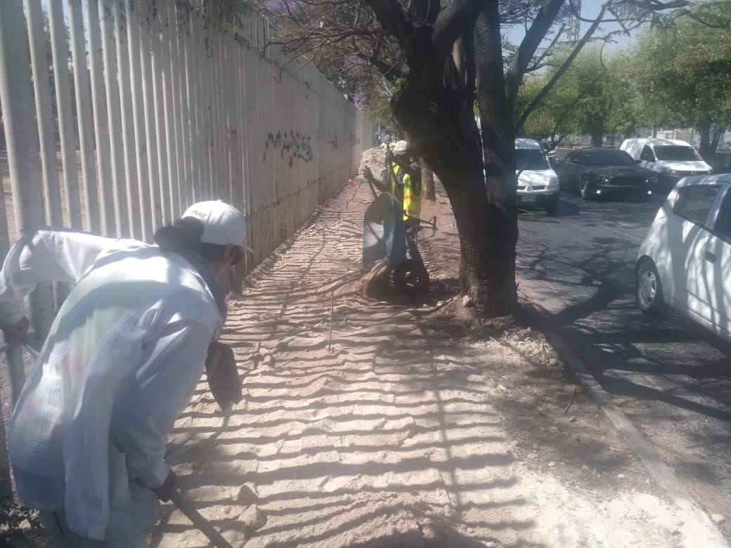 Imagen del proyecto