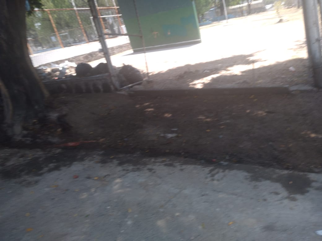 Imagen del proyecto