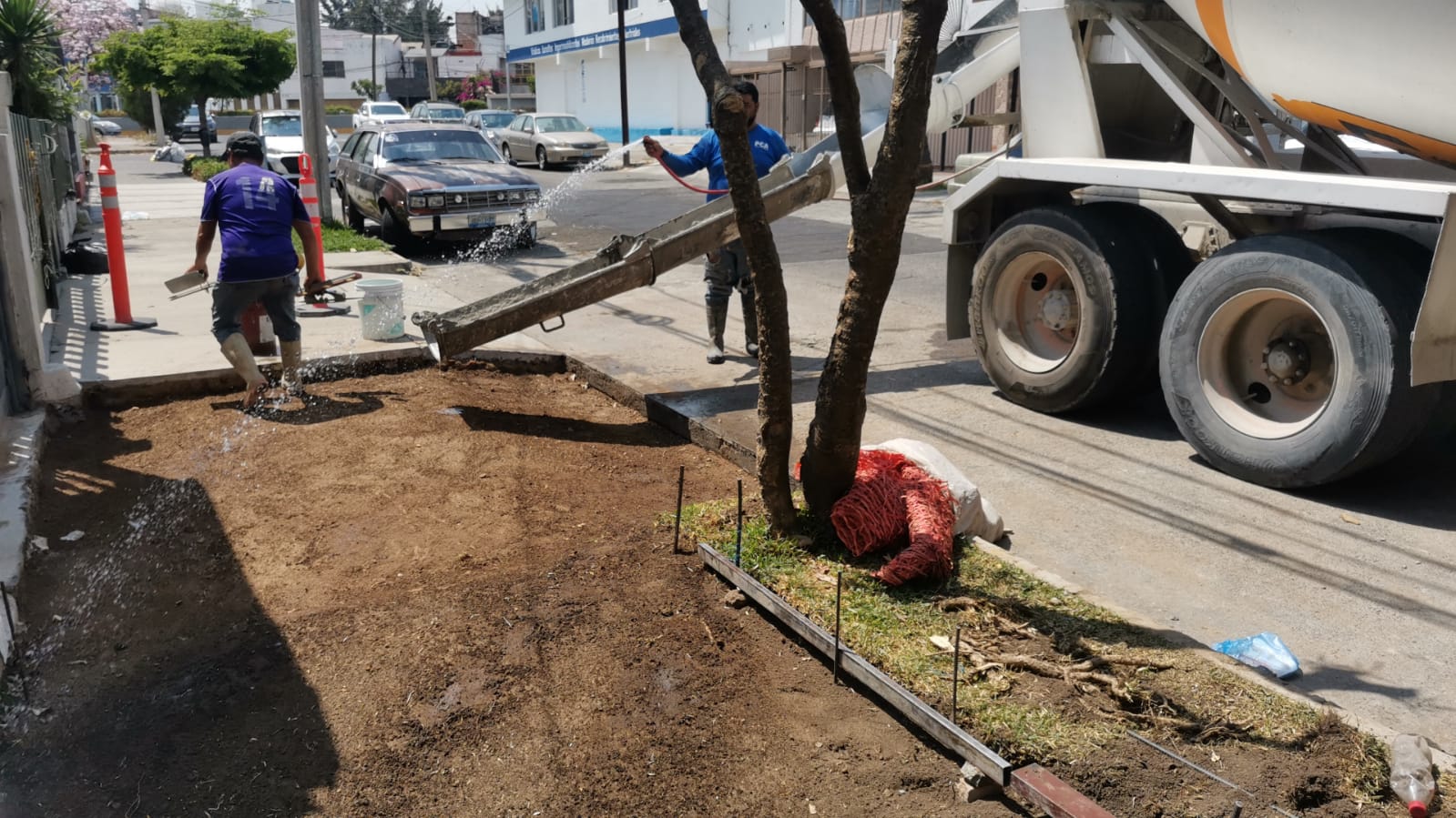 Imagen del proyecto