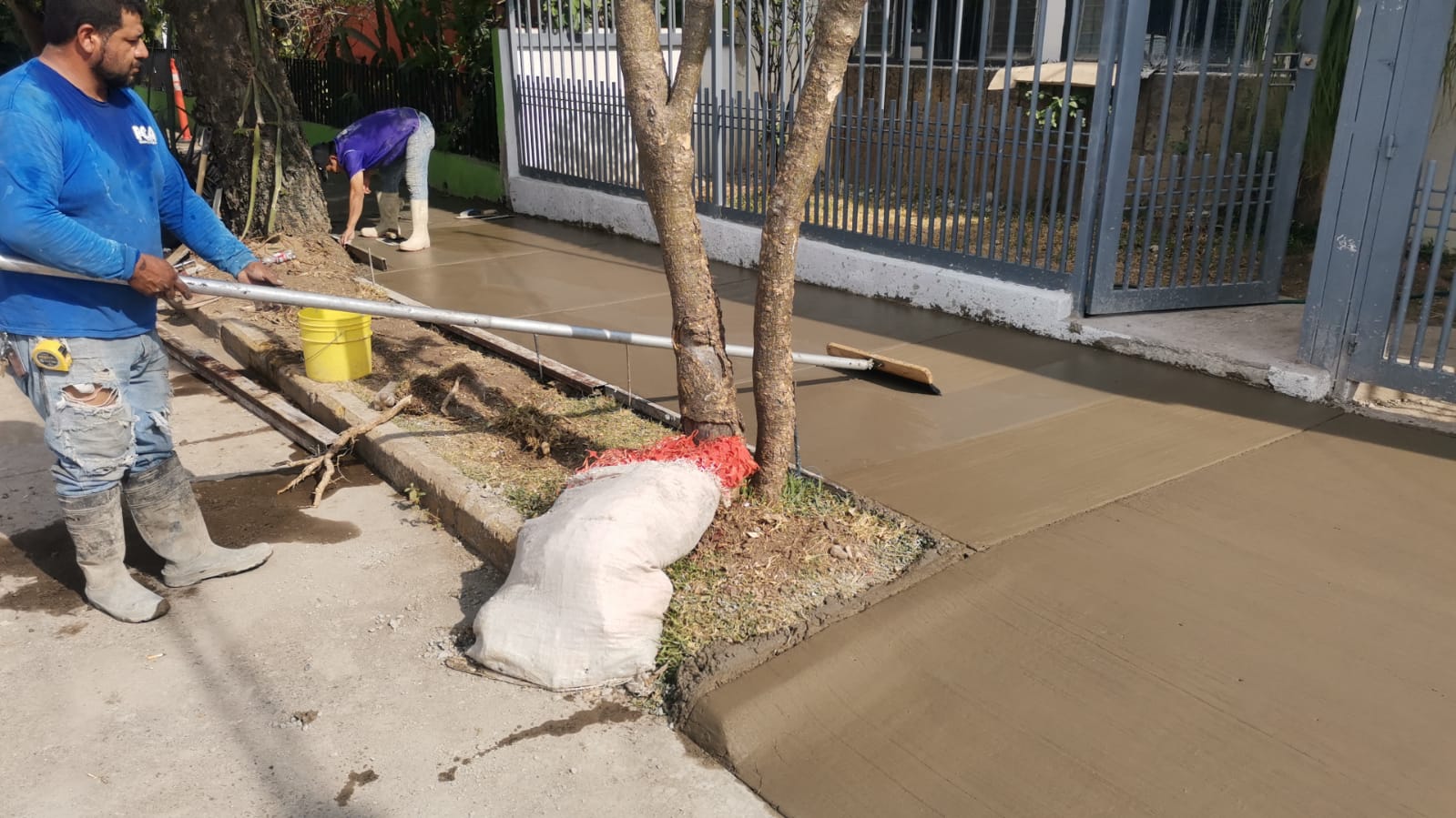 Imagen del proyecto