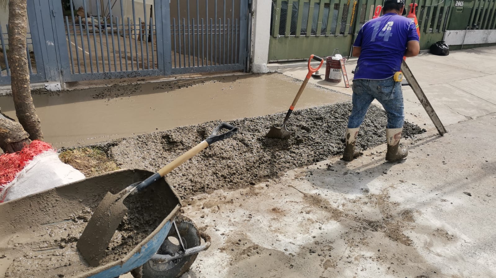 Imagen del proyecto
