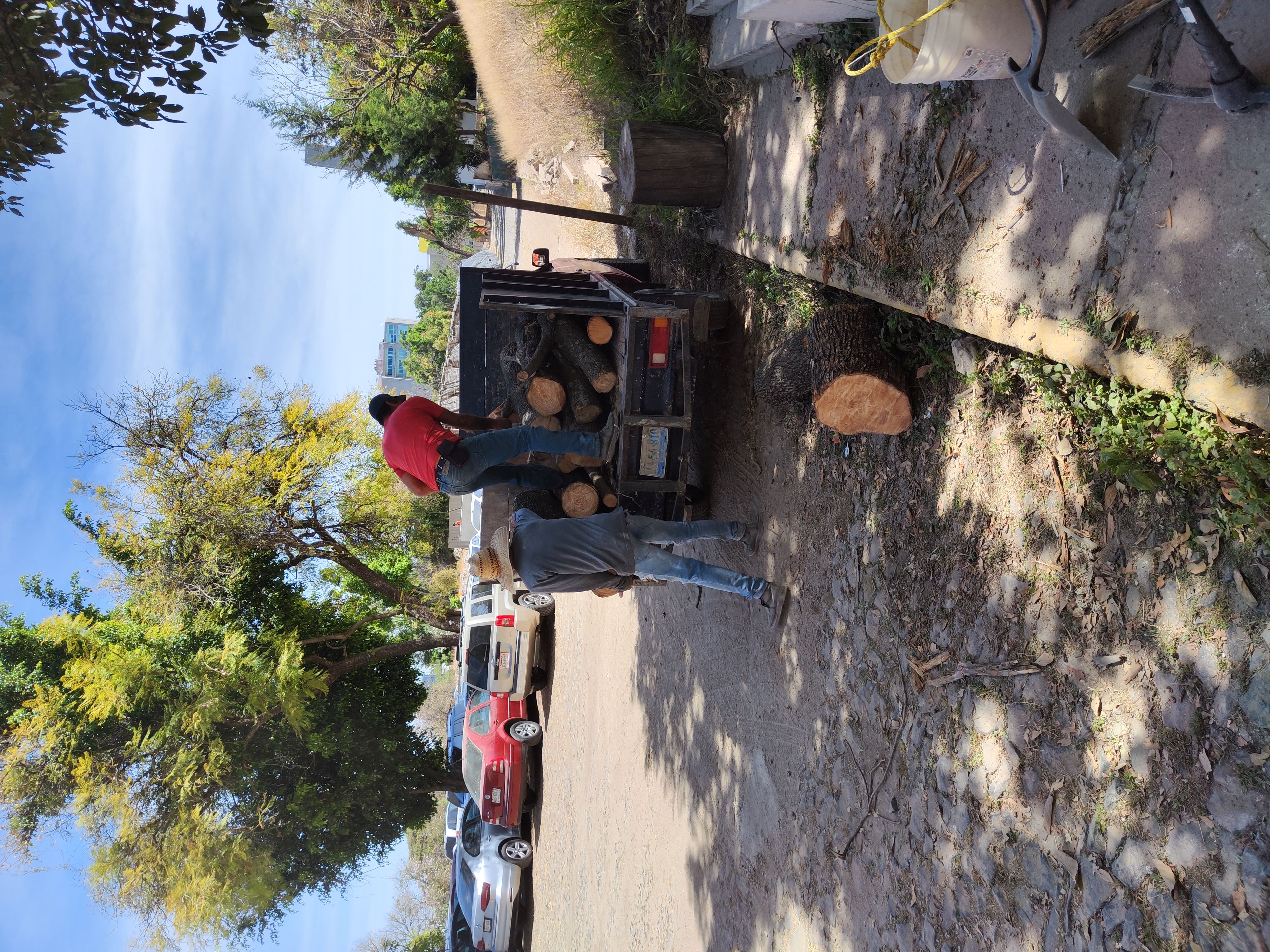 Imagen del proyecto