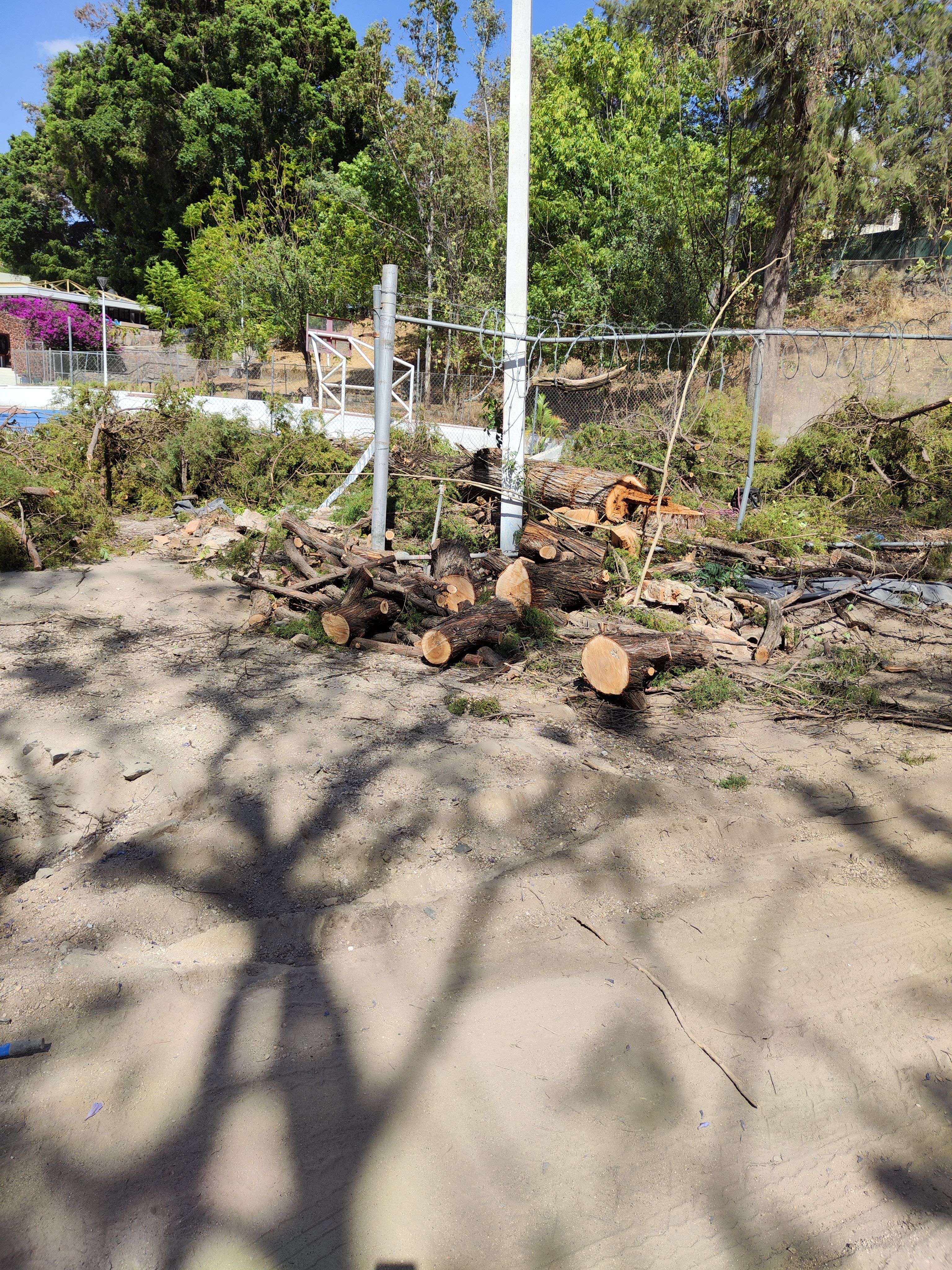 Imagen del proyecto
