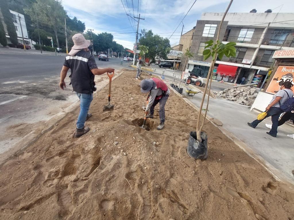 Imagen del proyecto