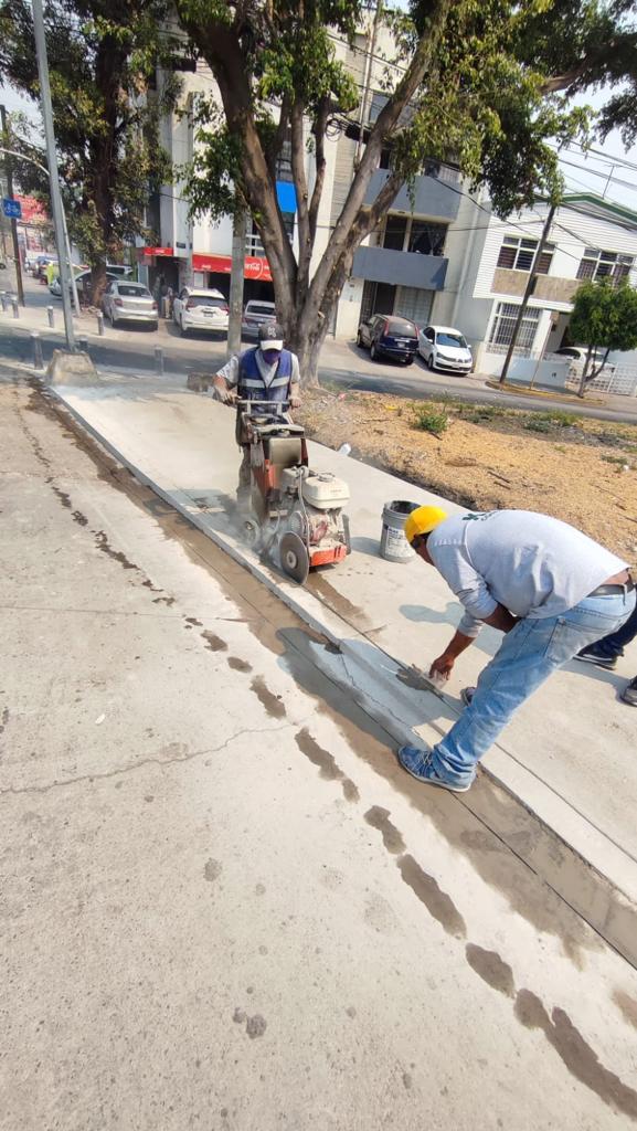 Imagen del proyecto