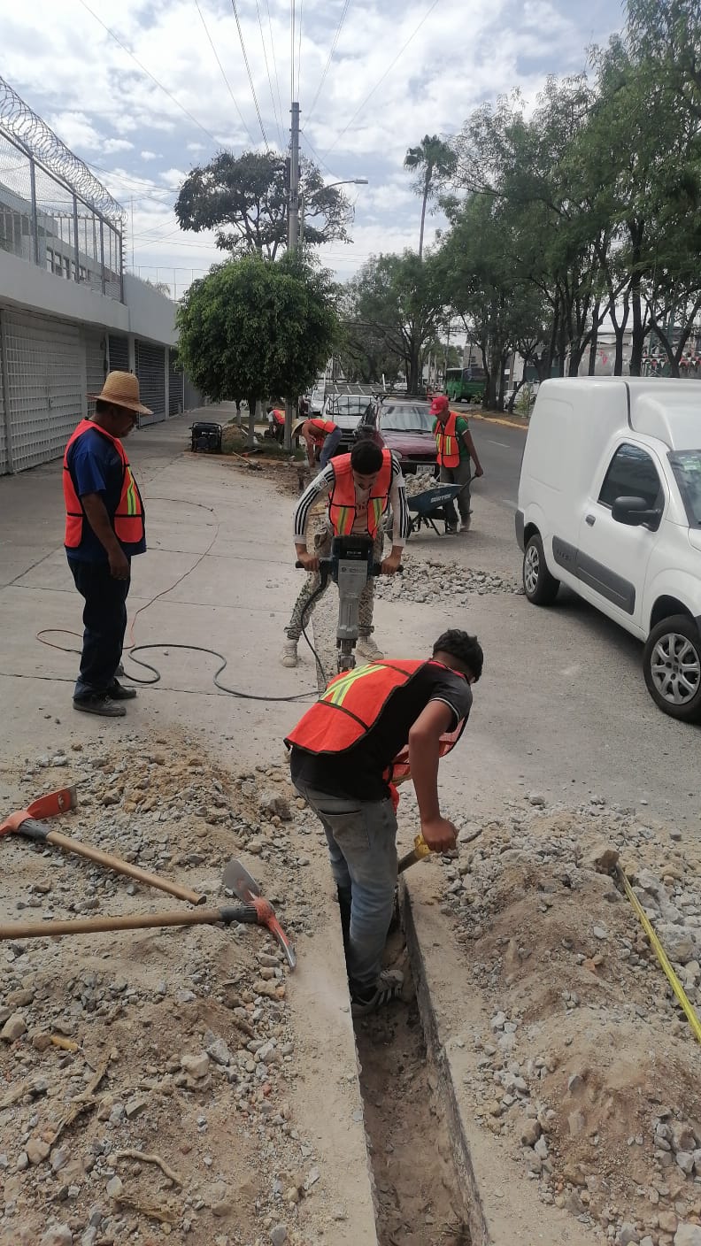 Imagen del proyecto