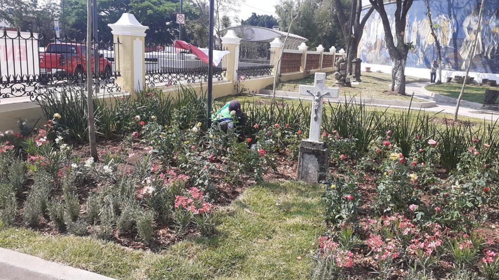 Imagen del proyecto