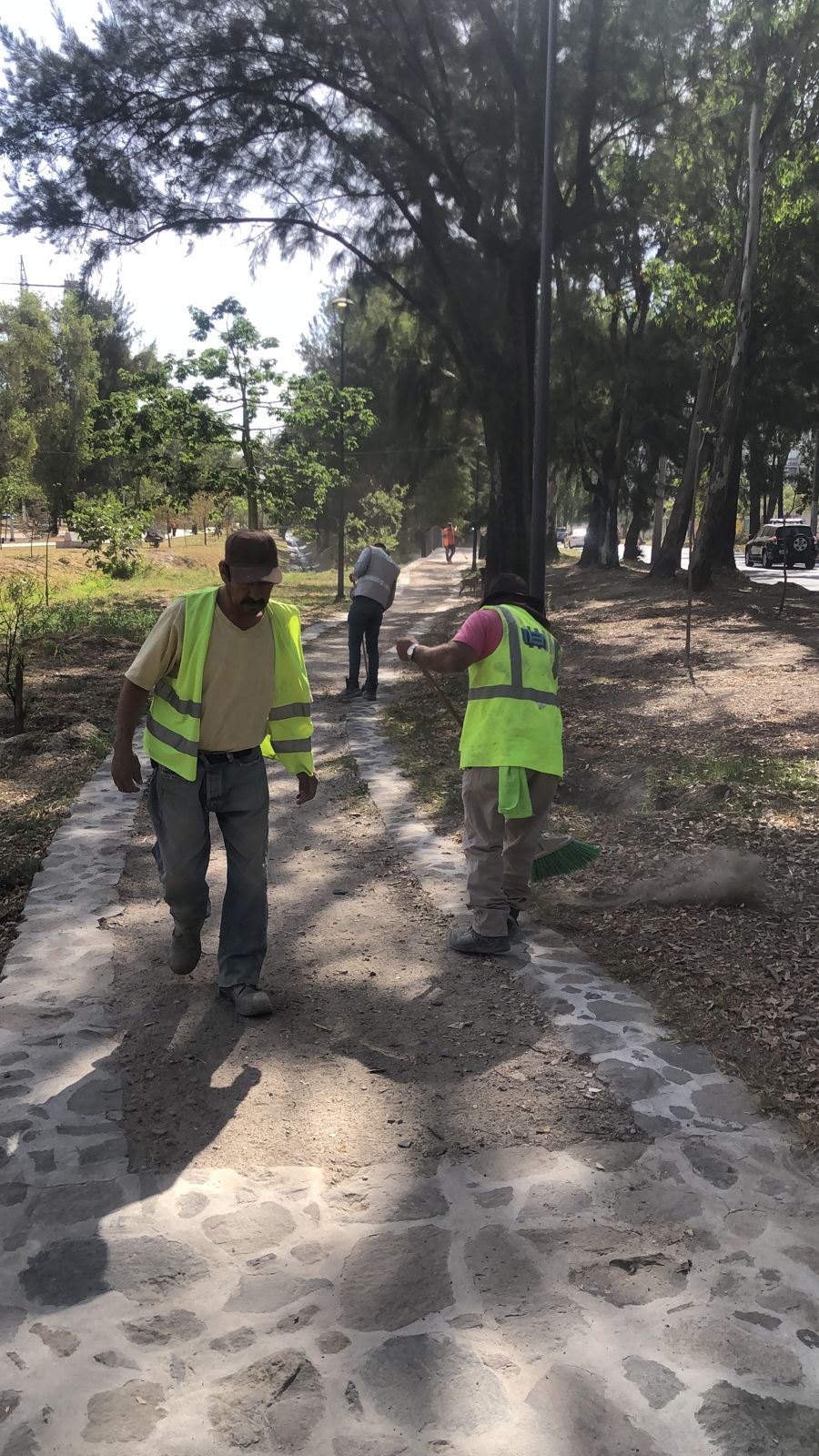 Imagen del proyecto