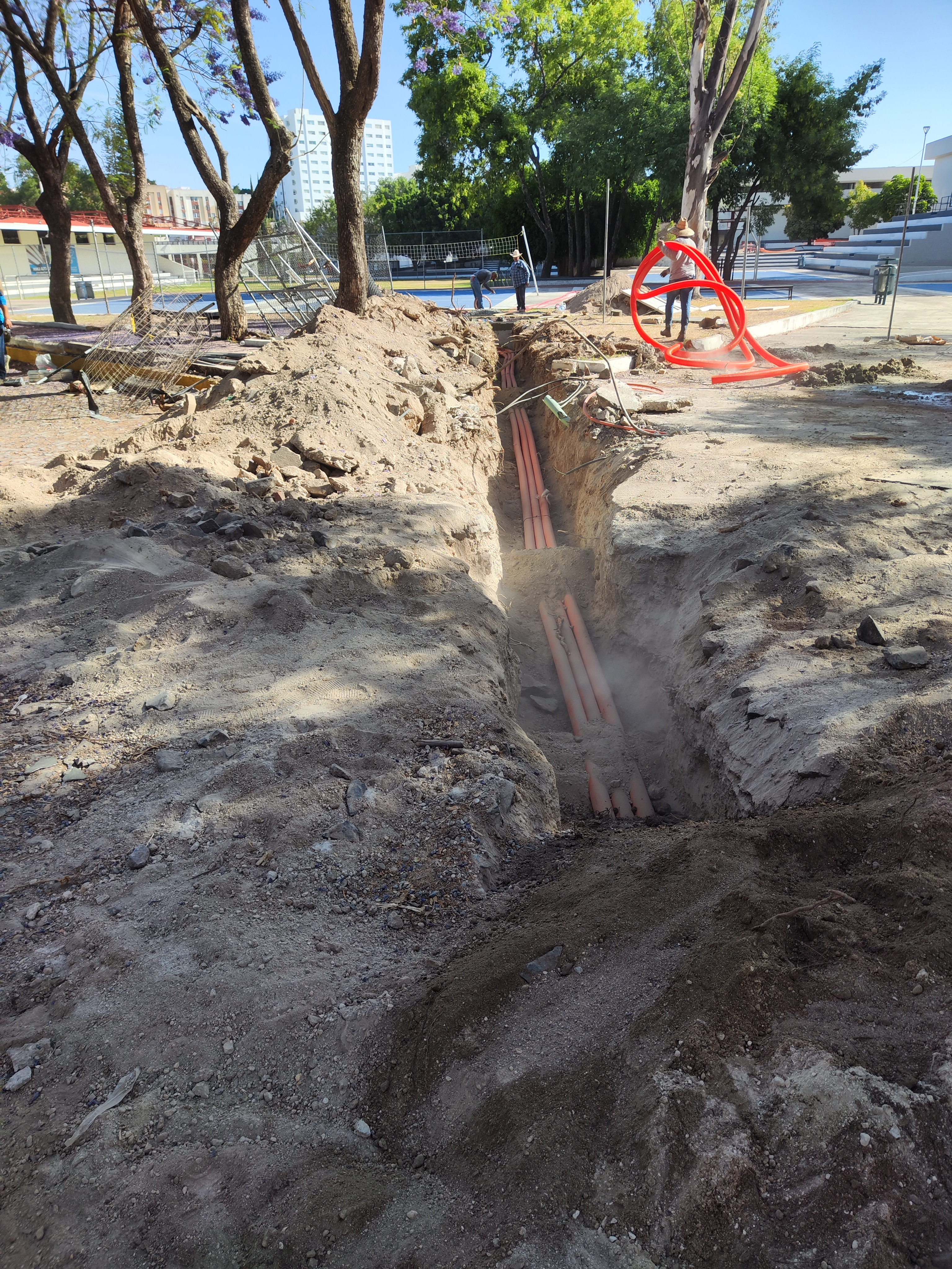 Imagen del proyecto