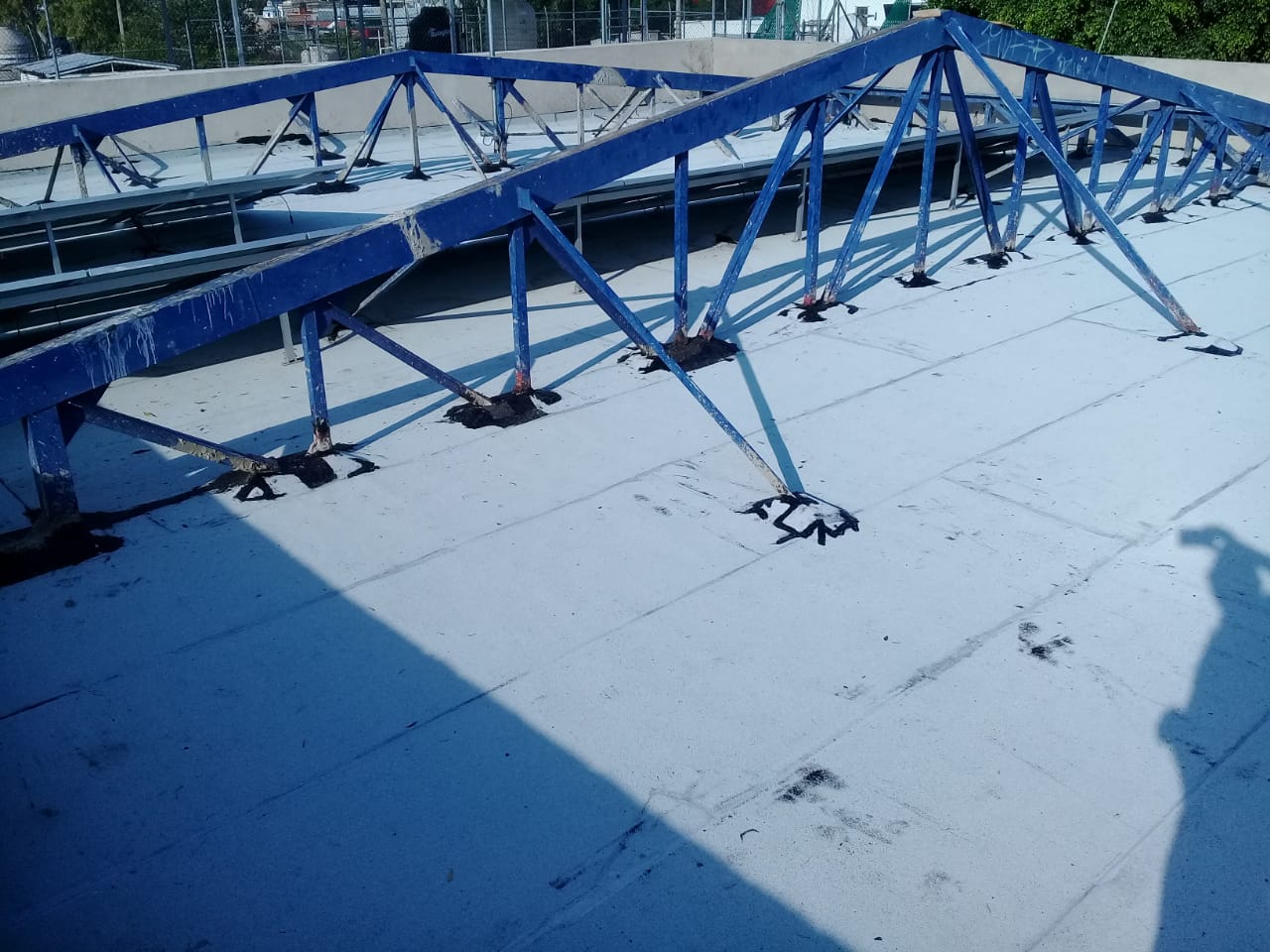 Imagen del proyecto