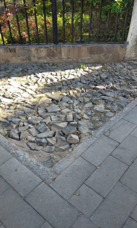Imagen del proyecto