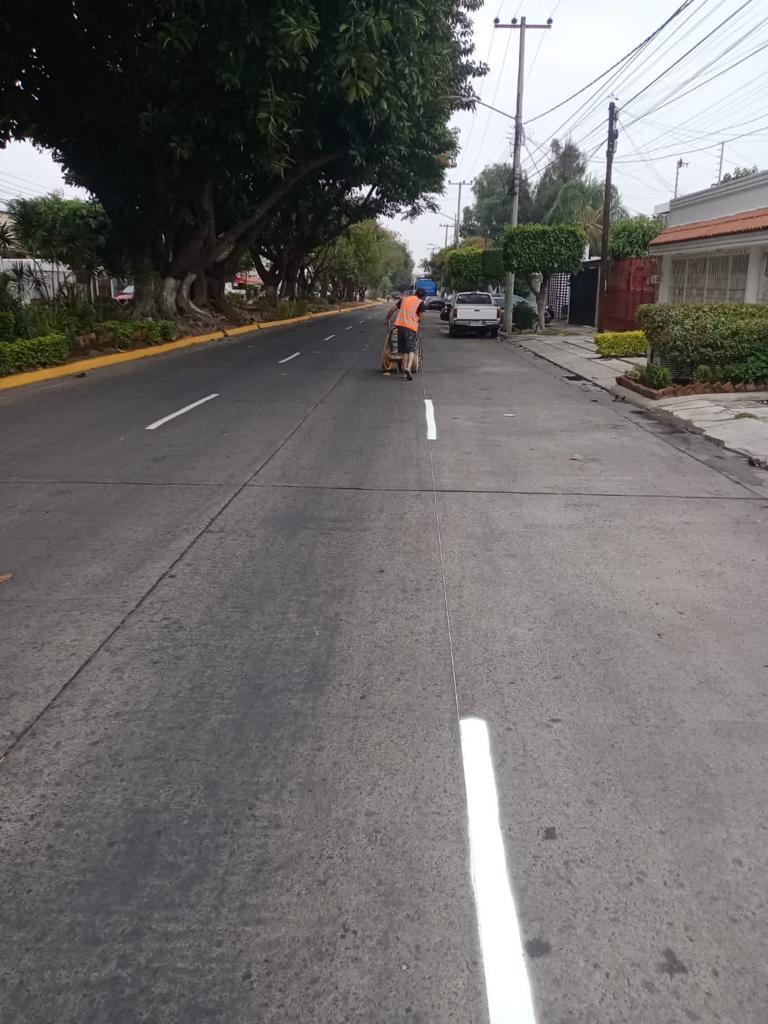 Imagen del proyecto