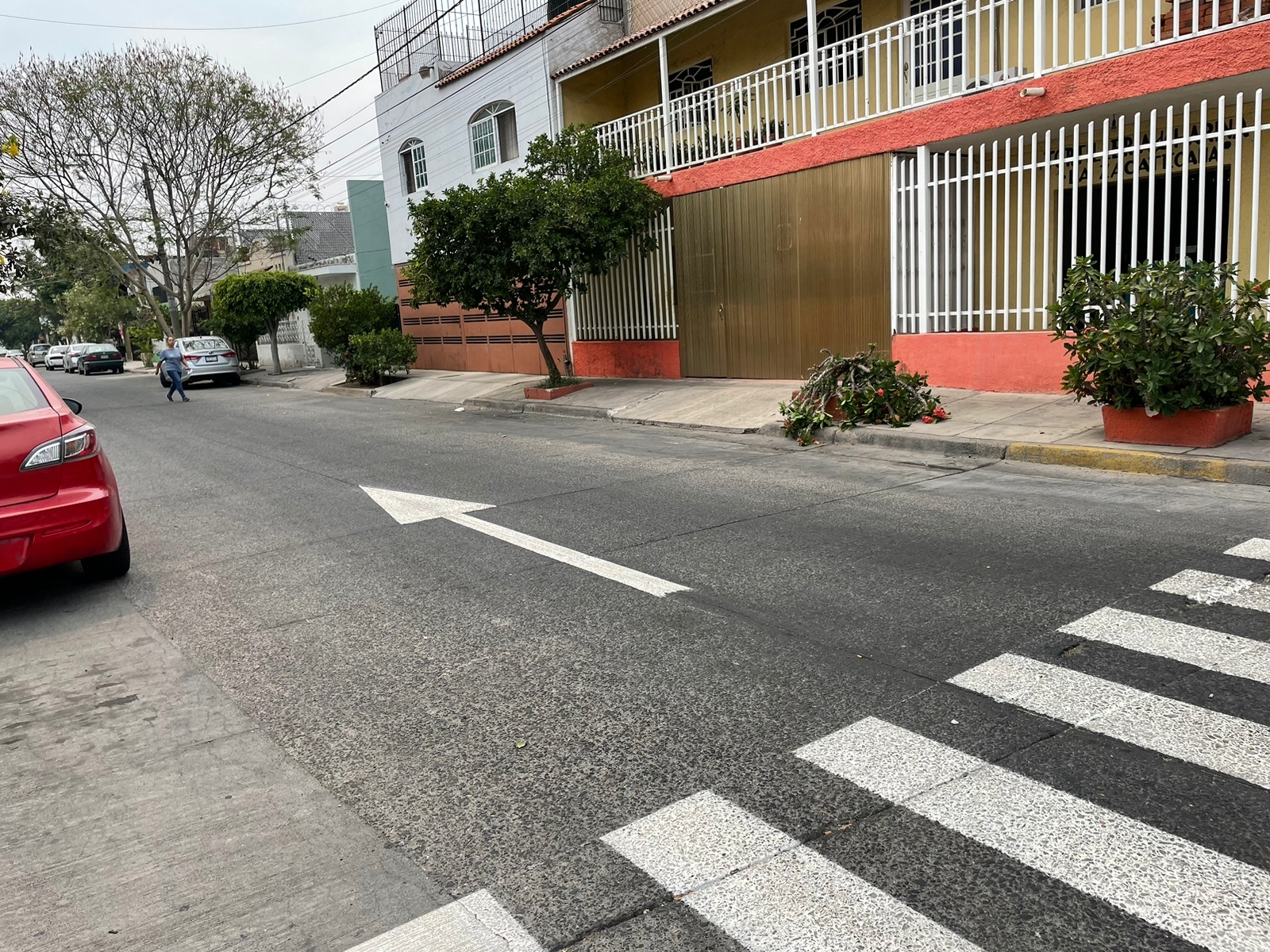 Imagen del proyecto