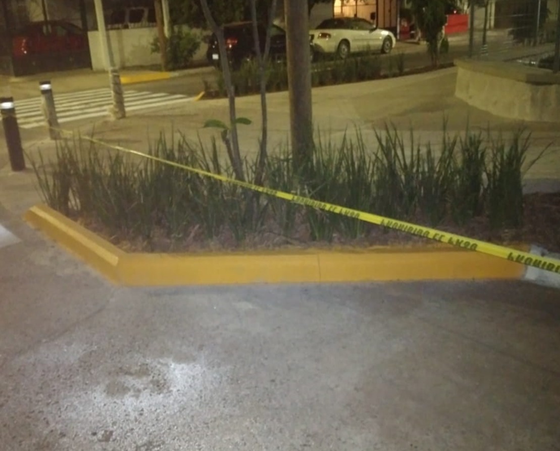 Imagen del proyecto