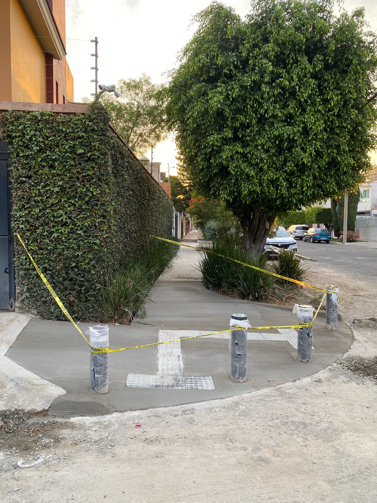Imagen del proyecto