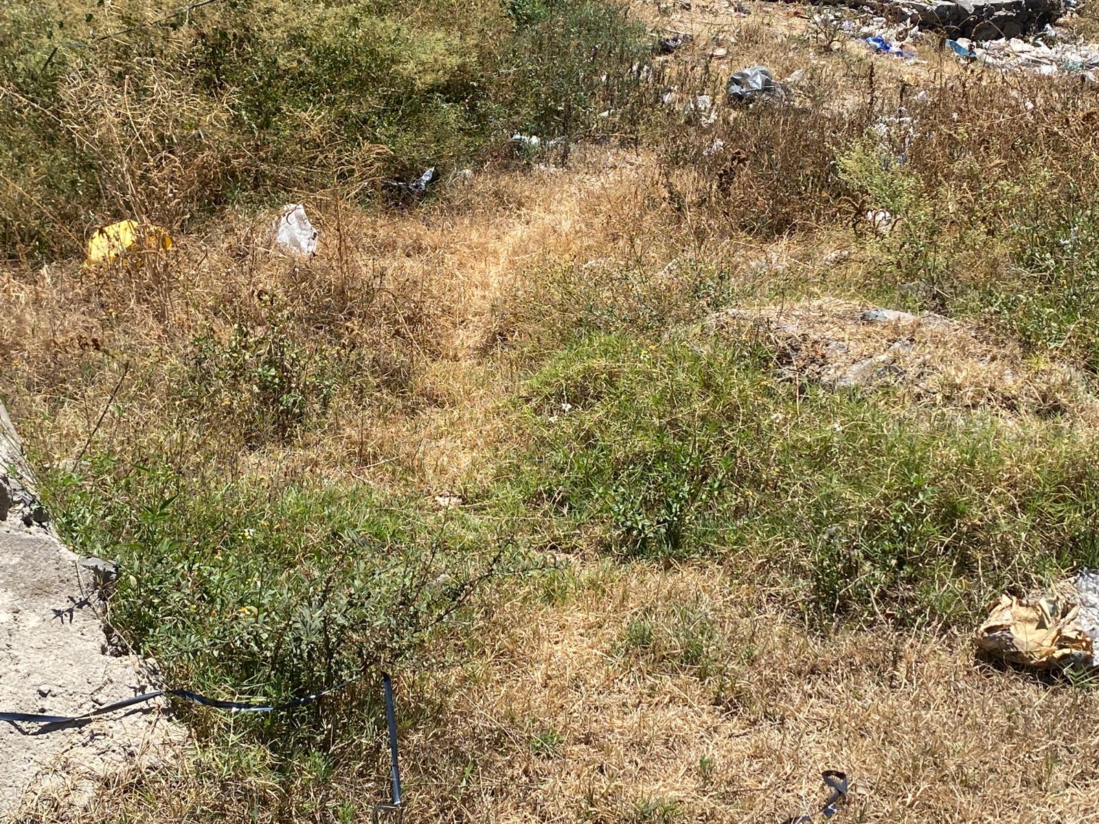 Imagen del proyecto