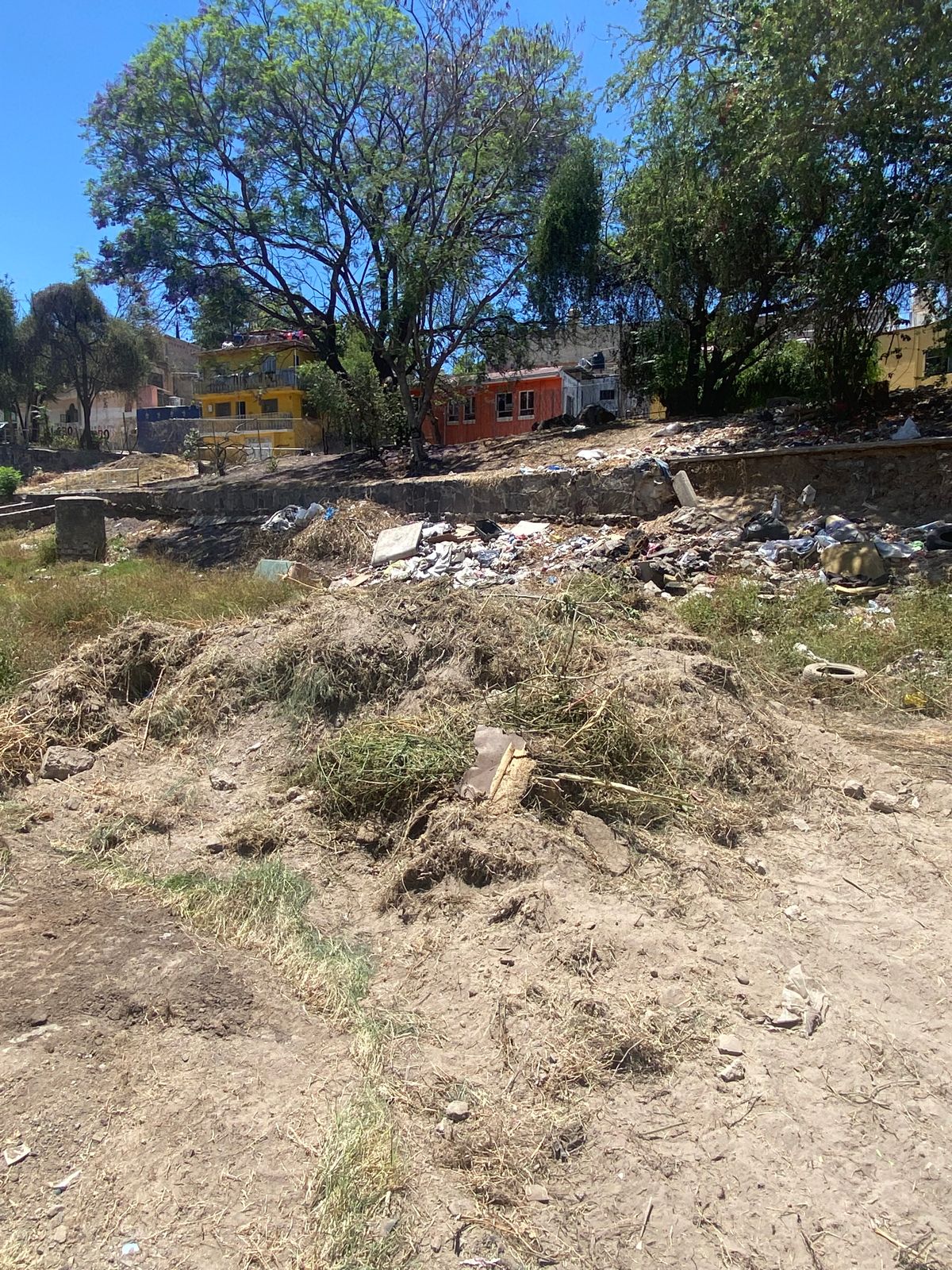 Imagen del proyecto