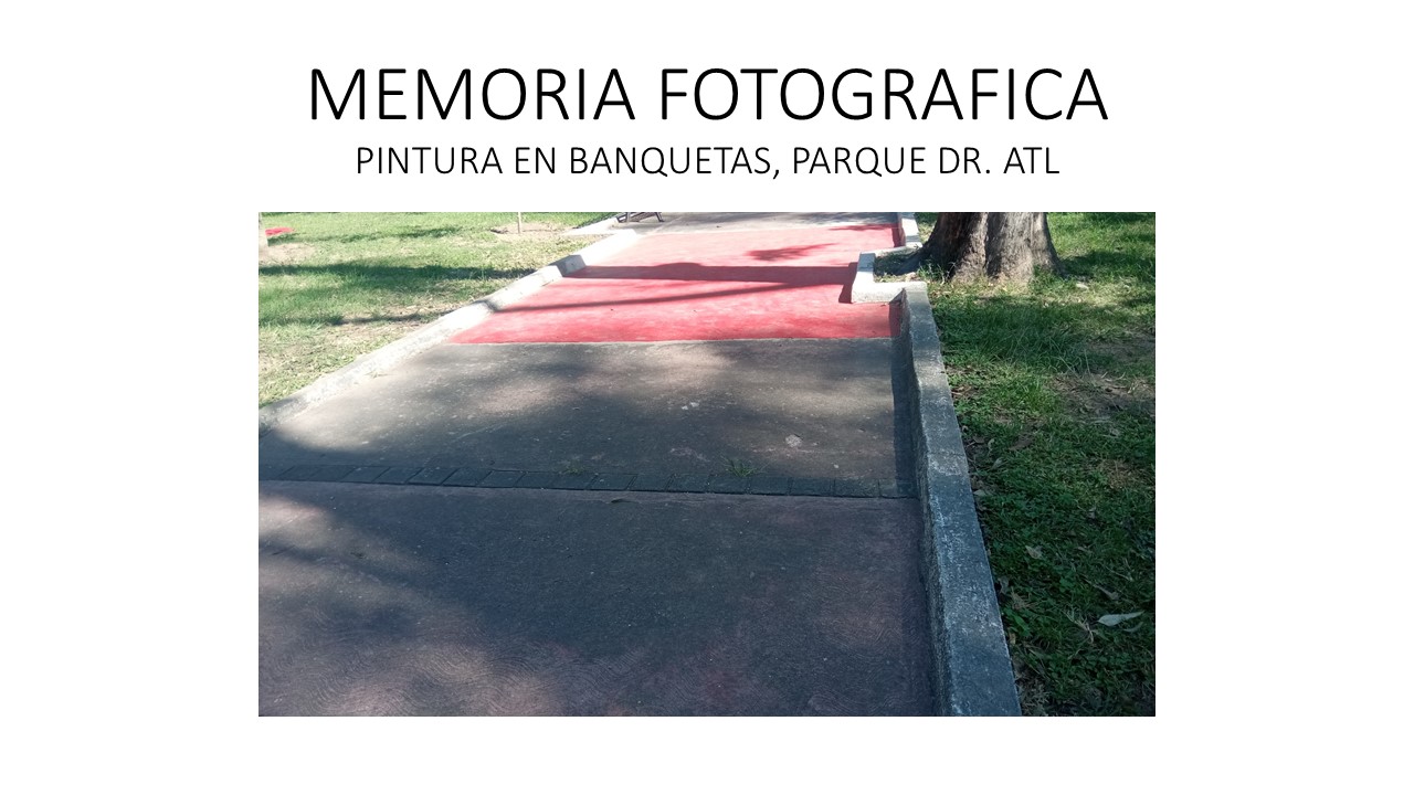 Imagen del proyecto