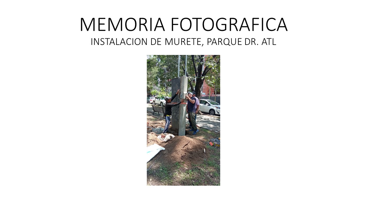 Imagen del proyecto