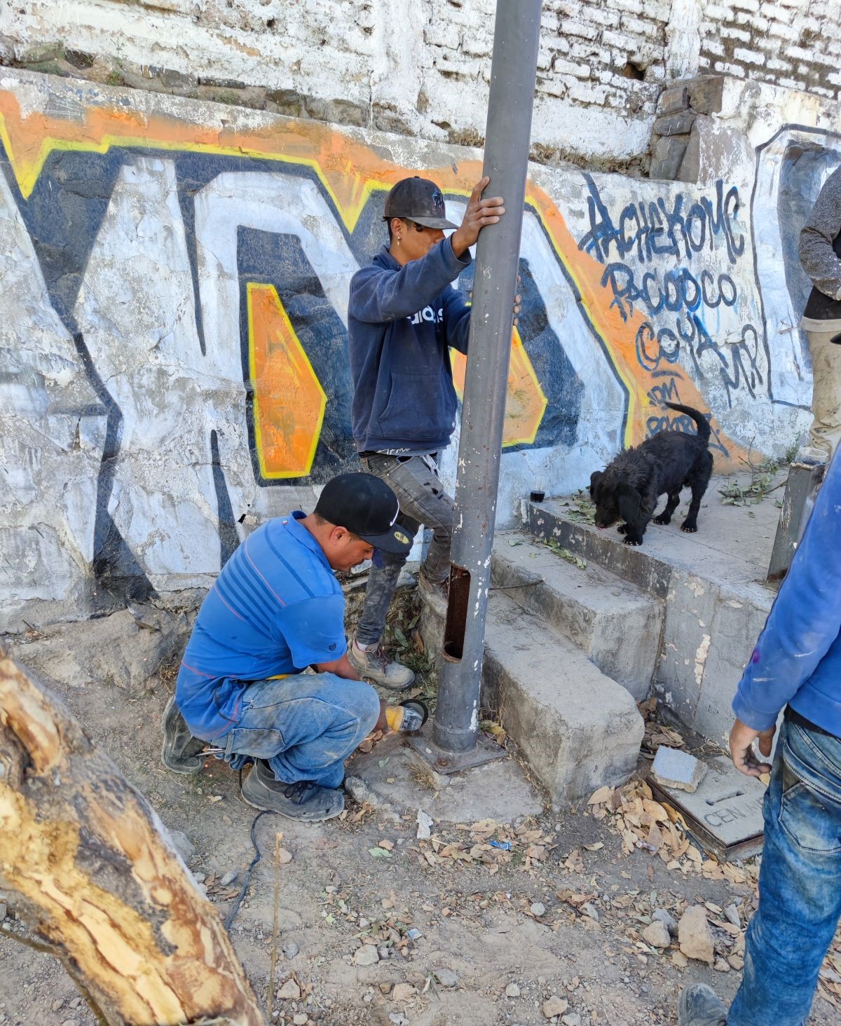 Imagen del proyecto