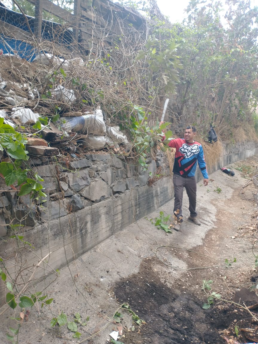 Imagen del proyecto