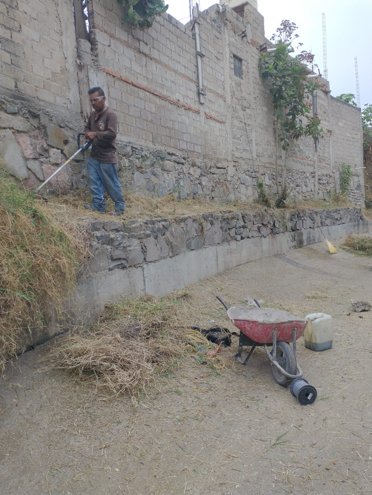Imagen del proyecto