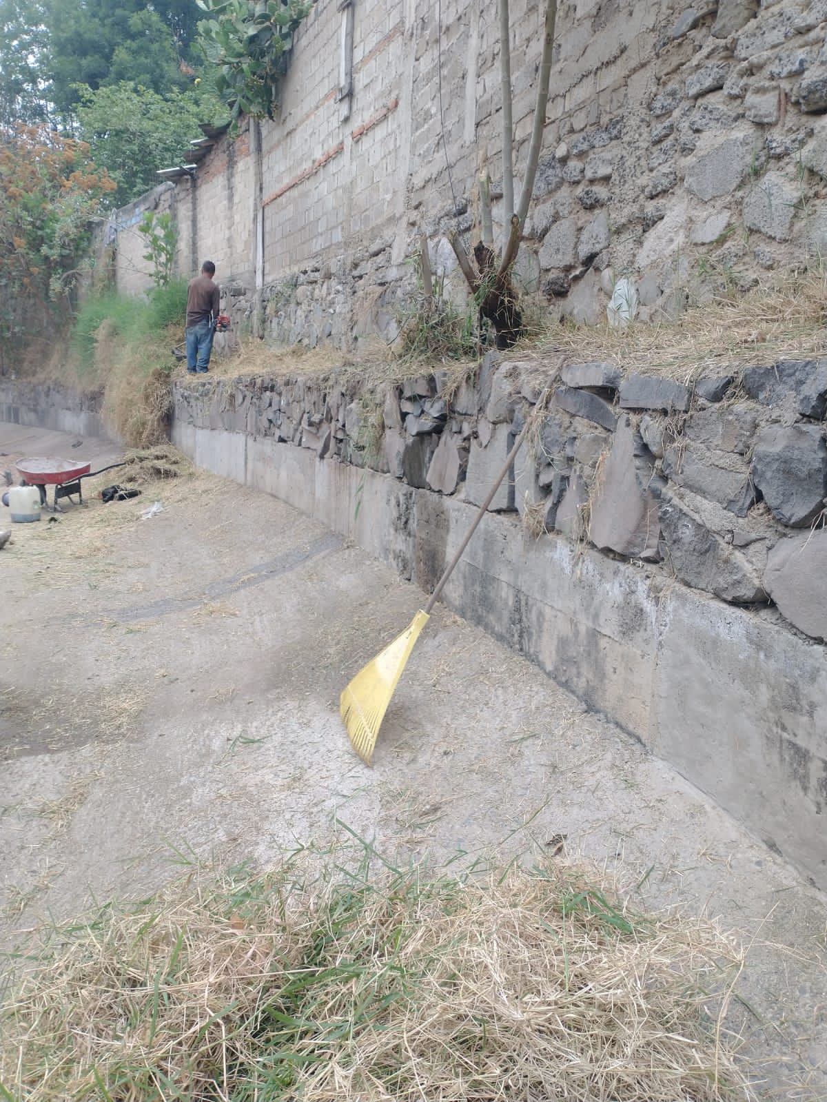 Imagen del proyecto