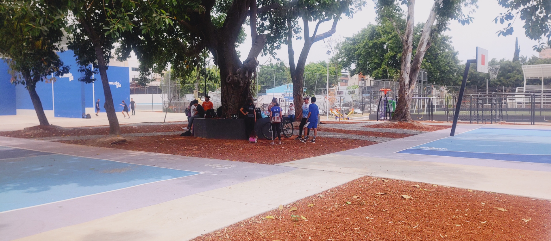 Imagen del proyecto