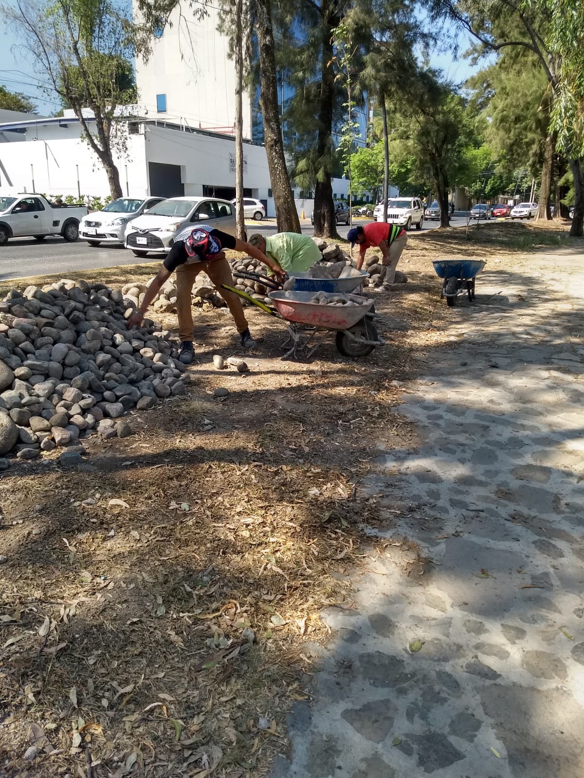 Imagen del proyecto
