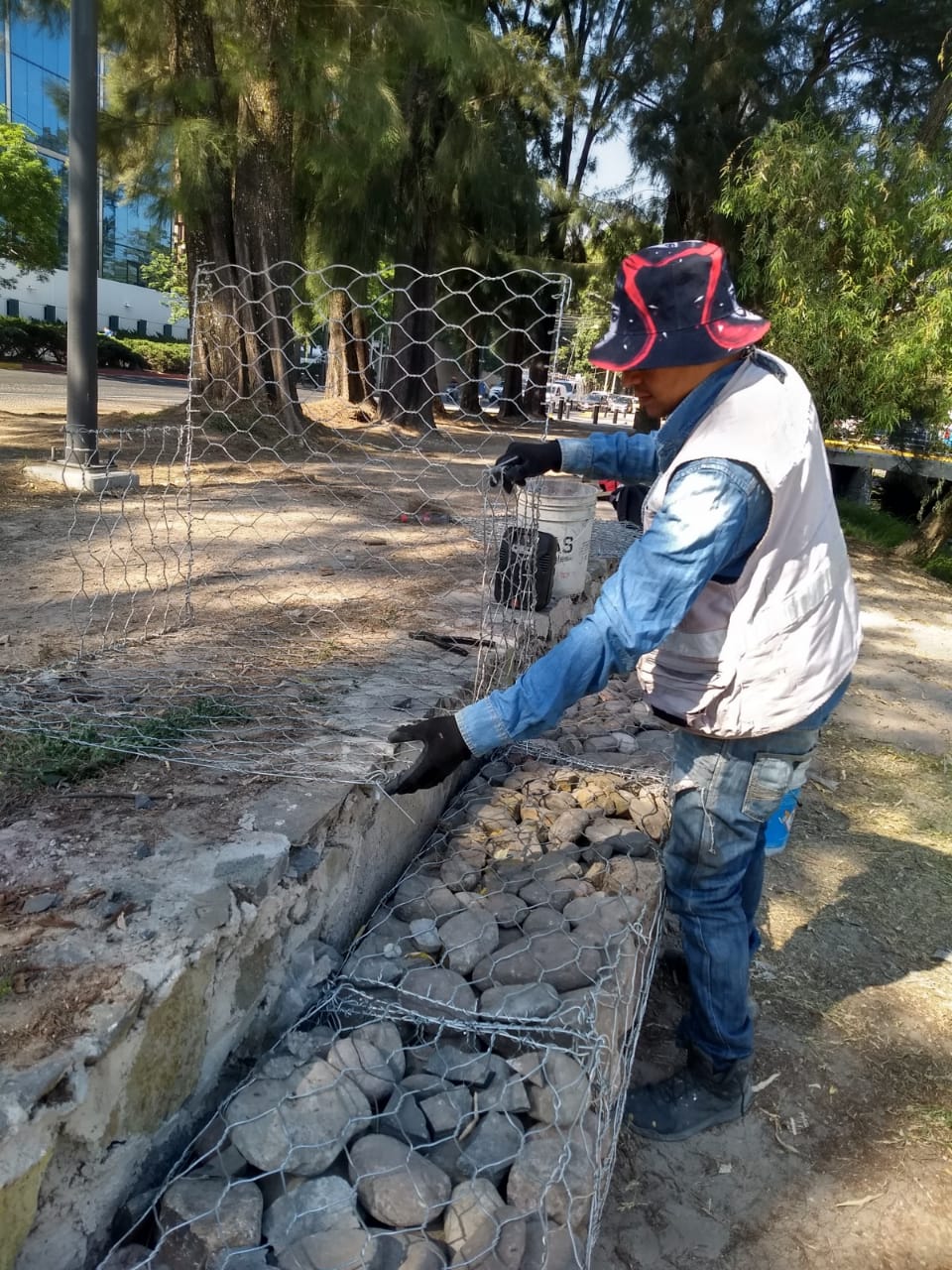 Imagen del Proyecto