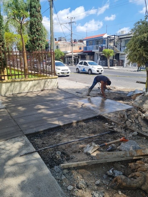 Imagen del proyecto