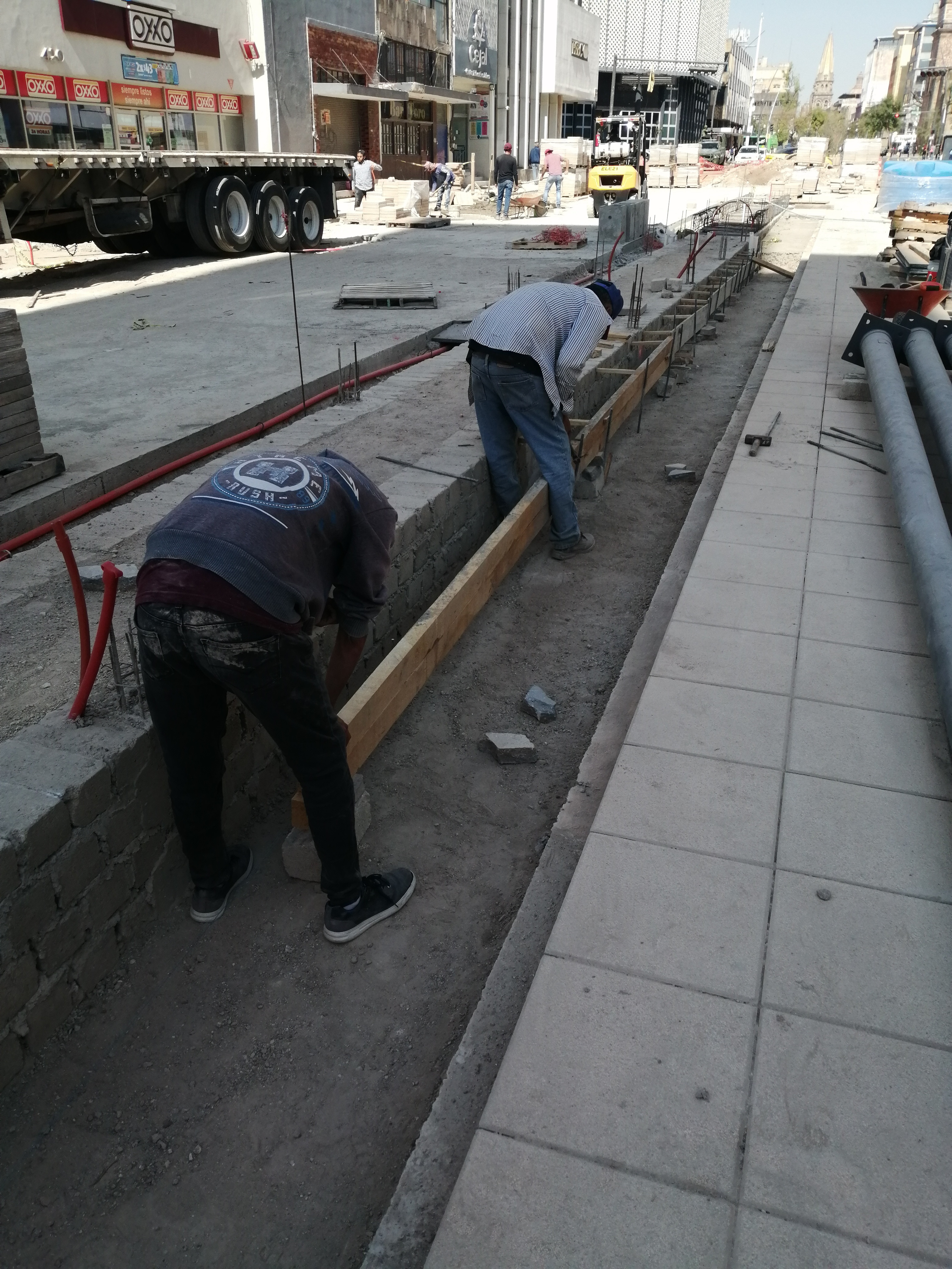 Imagen del proyecto