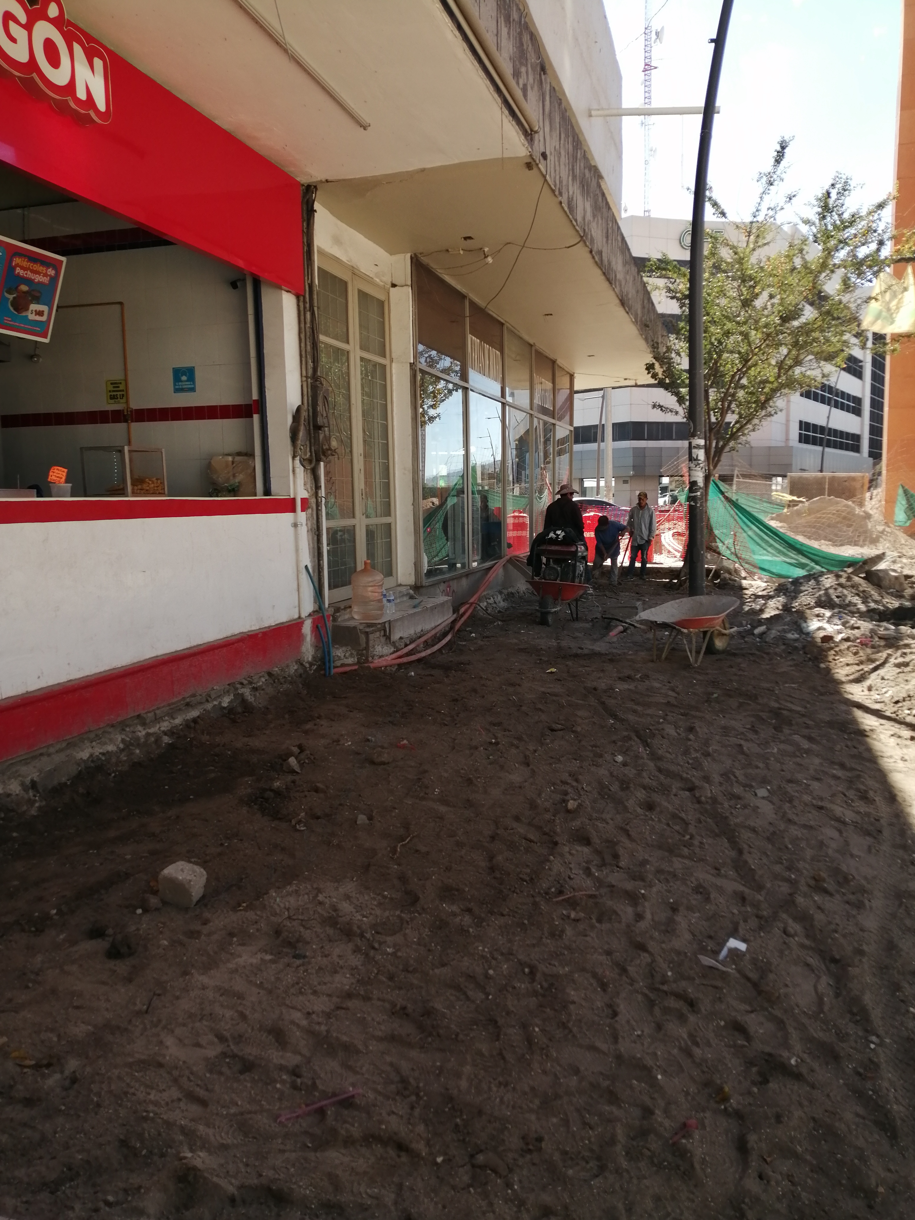 Imagen del proyecto