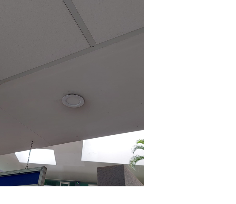 Imagen del proyecto