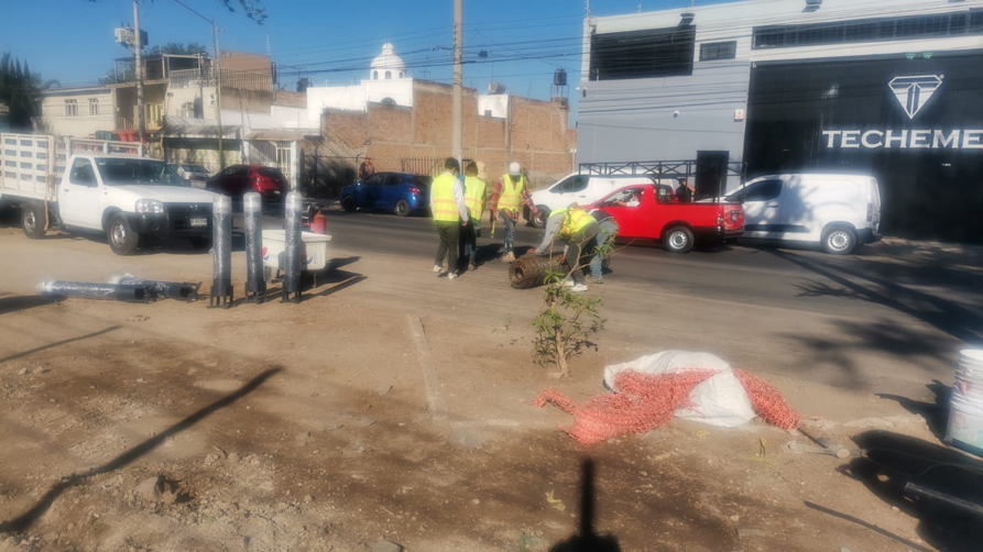 Imagen del proyecto
