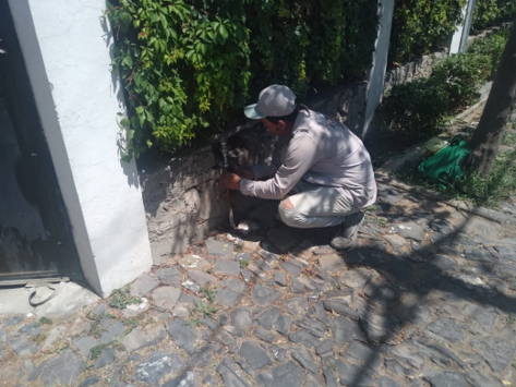 Imagen del proyecto