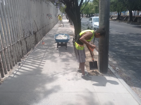 Imagen del proyecto