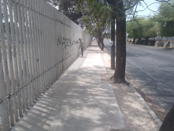 Imagen del proyecto