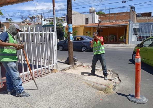 Imagen del proyecto