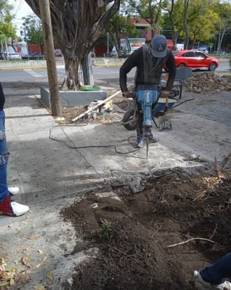 Imagen del proyecto
