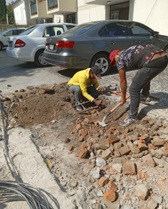 Imagen del proyecto