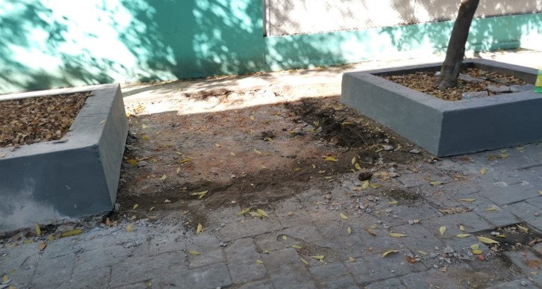 Imagen del proyecto